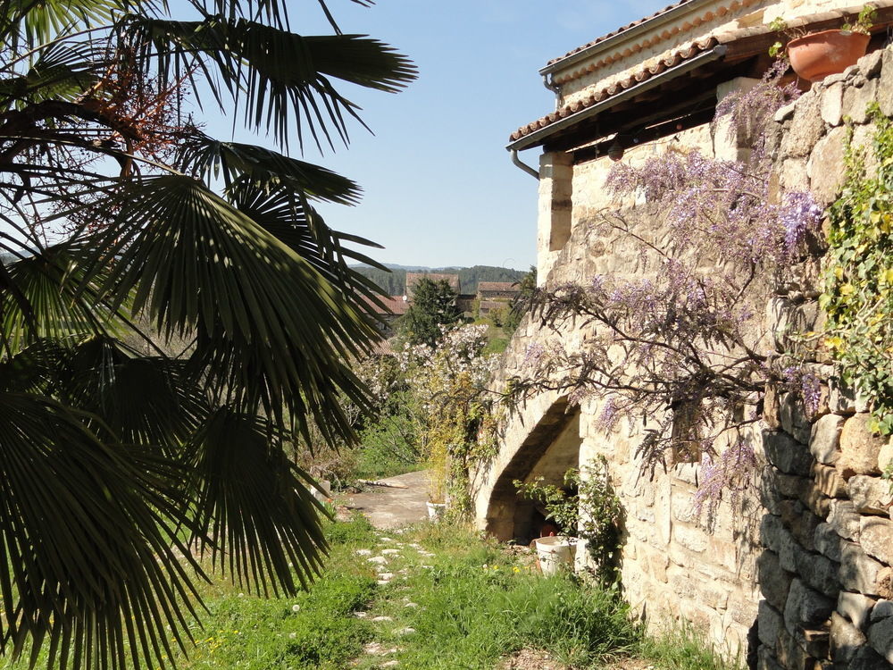 Chambre D'Hotes Au Creux Du Chambon Joyeuse Exterior foto